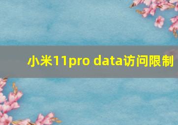 小米11pro data访问限制